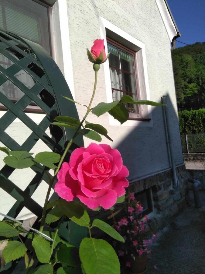 Zu Hause Am Bach Leilighet Aggsbach Eksteriør bilde